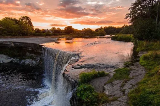 브라질 / 아르헨티나 7일