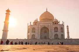 인도 & 네팔 14일