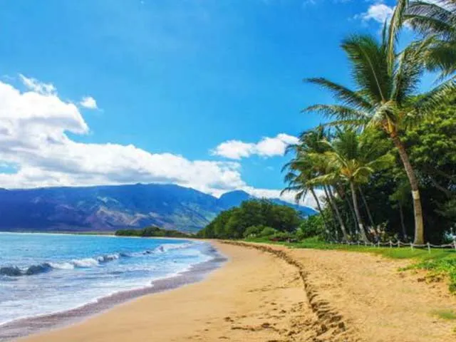 640x480_hawaii_cruise_hilo1