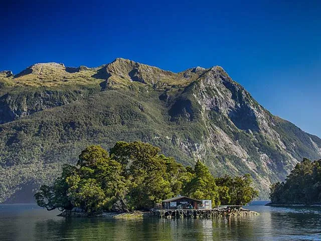 Detail_ANCruise_DoubtfulSound3