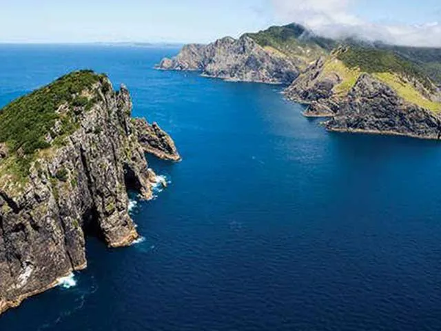 Detail_ANCruise_DuskySound1