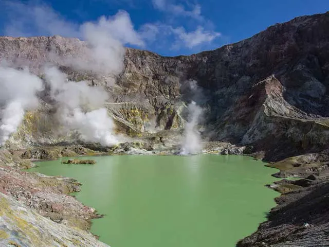 Detail_ANCruise_Tauranga10