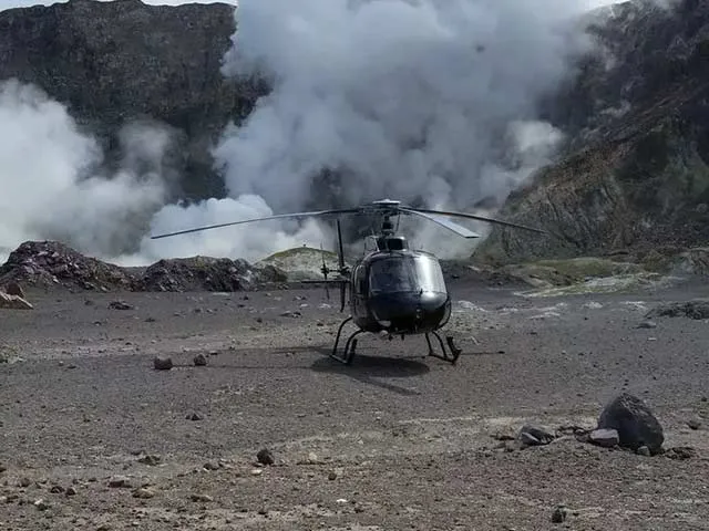 Detail_ANCruise_Tauranga8