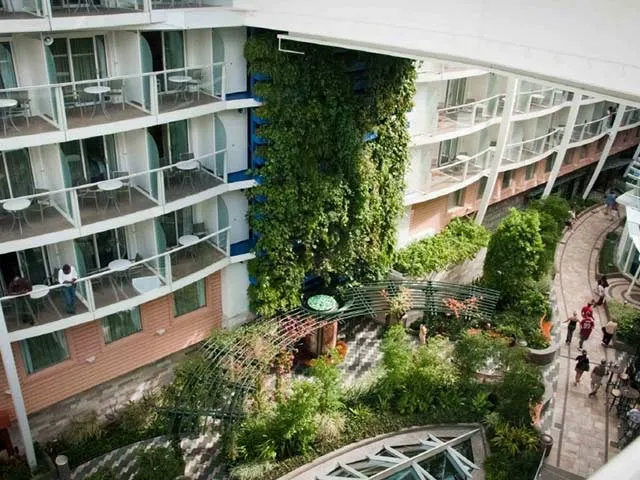 Detail_CaribbeanCruise_Allure22