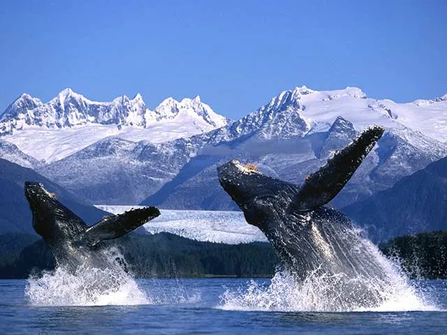 Detail_CruiseAlaska_NCLBliss_Juneau34