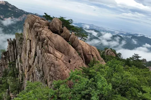 제주동해일주 7일