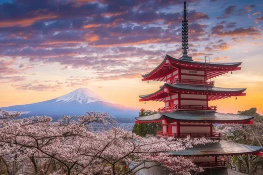 일본 관광 + 모국 투어