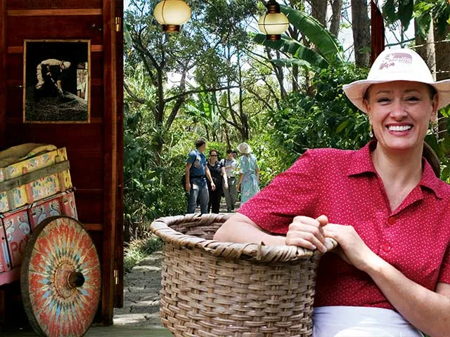 Detail_Costarica_Coffee2