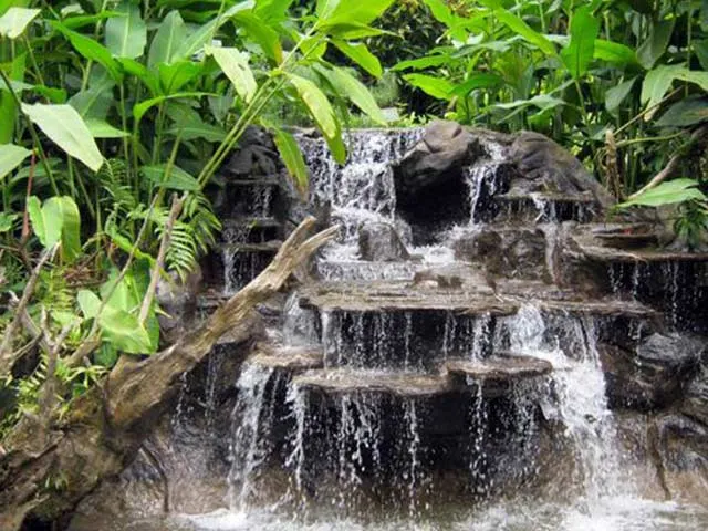 Detail_Costarica_LaPaz3