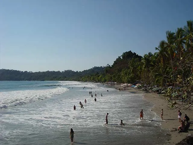 Detail_Costarica_ManuelAntonio2