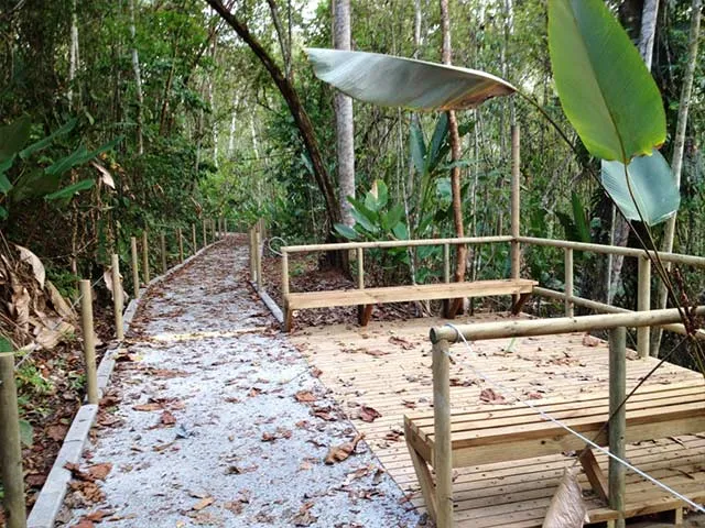 Detail_Costarica_SanJose_Carara2