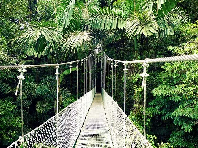 Detail_Costarica_SanJose_Carara4