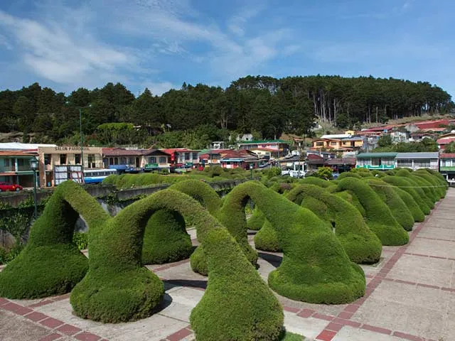 Detail_Costarica_SanJose_Zarcero2