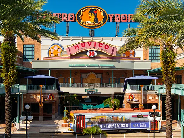 Detail_Cruise_SAmerica_Tampa5