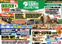 2024년 8월 23일 신문광고