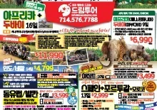 2024년 10월 둘째주 종합광고