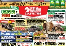 2024년 10월 넷째주 종합광고