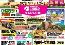 2024년 11월 첫째주 종합광고