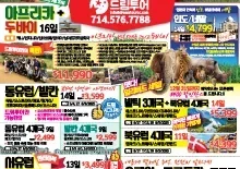 2024년 12월 첫째주 종합광고