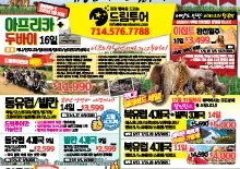 2024년 12월 둘째주 종합광고