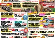 2024년 12월 넷째주 종합광고