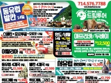 2025년 7월 첫째주 신문광고