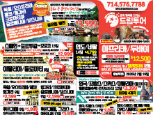 2025년 7월 넷째주 신문광고