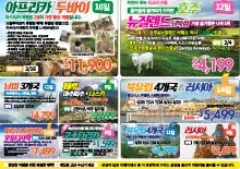 2019년 11월 11일 신문광고