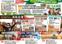 2022년 11월 24일 신문광고