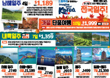 2023년 5월 셋째주 한국 여행 광고