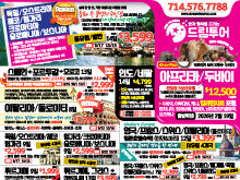 2025년 7월 다섯째주 신문광고