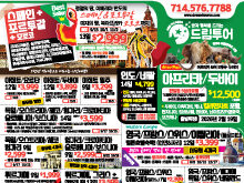 2025년 8월 셋째주 신문광고