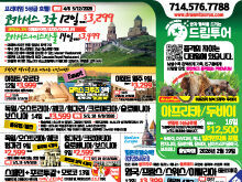 2025년 10월 셋째주 신문광고