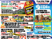 2025년 10월 넷째주 신문광고