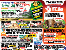 2025년 10월 마지막주 신문광고