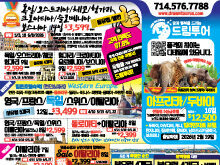 2025년 11월 첫째주 신문광고