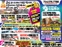 2025년 11월 둘째주 신문광고