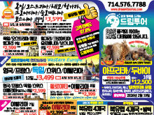 2025년 11월 둘째주 신문광고