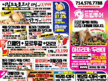 2025년 11월 넷째주 신문광고