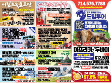 2025년 12월 둘째주 신문광고