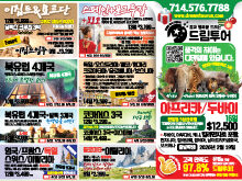 2026년 1월 둘째주 신문광고