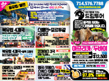 2026년 2월 셋째주 신문광고