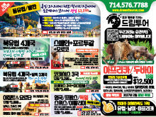 2026년 2월 넷째주 신문광고