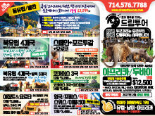 2026년 3월 첫째주 신문광고