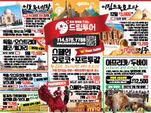 2026년 6월 둘째주 신문광고