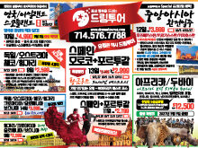 2026년 7월 다섯째주 신문광고