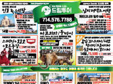 2026년 8월 넷째주 신문광고