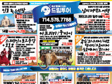 2026년 9월 넷째주 신문광고